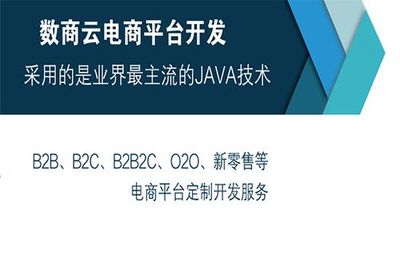 B2B2C多商户系统搭建公司哪家靠谱